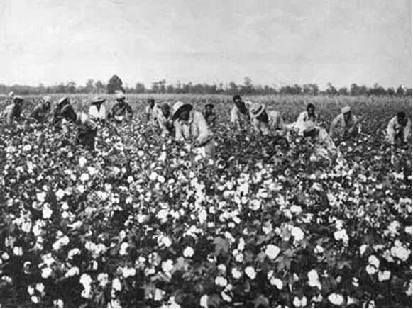Enslaved people working in a field